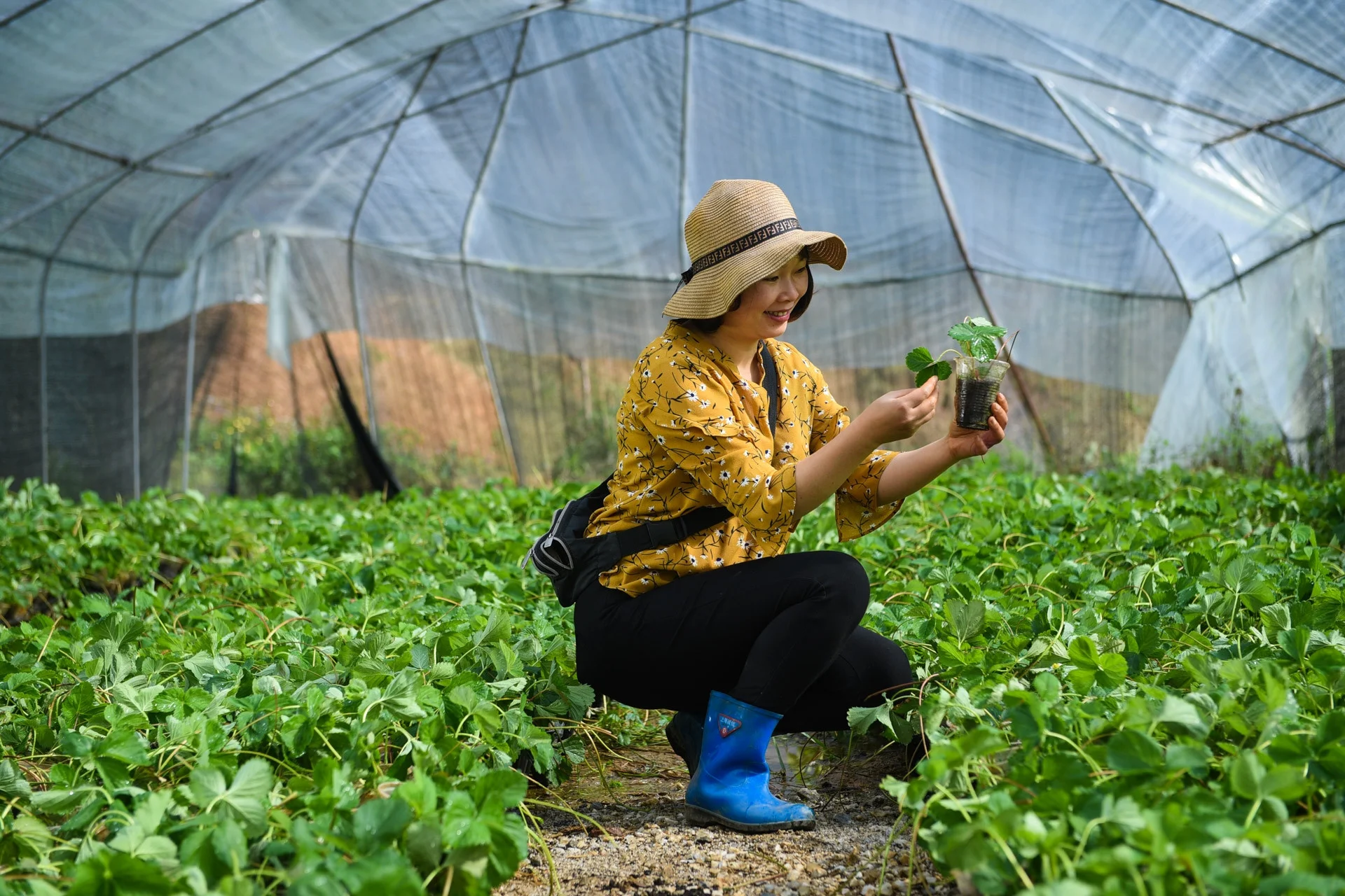 Fresh local ingredients