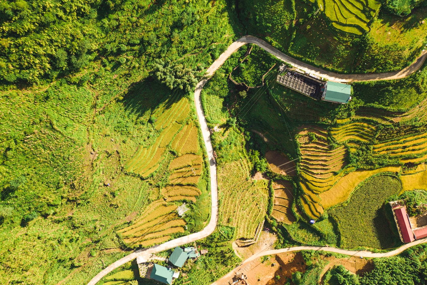 Ruộng bậc thang Sapa Lào Cai