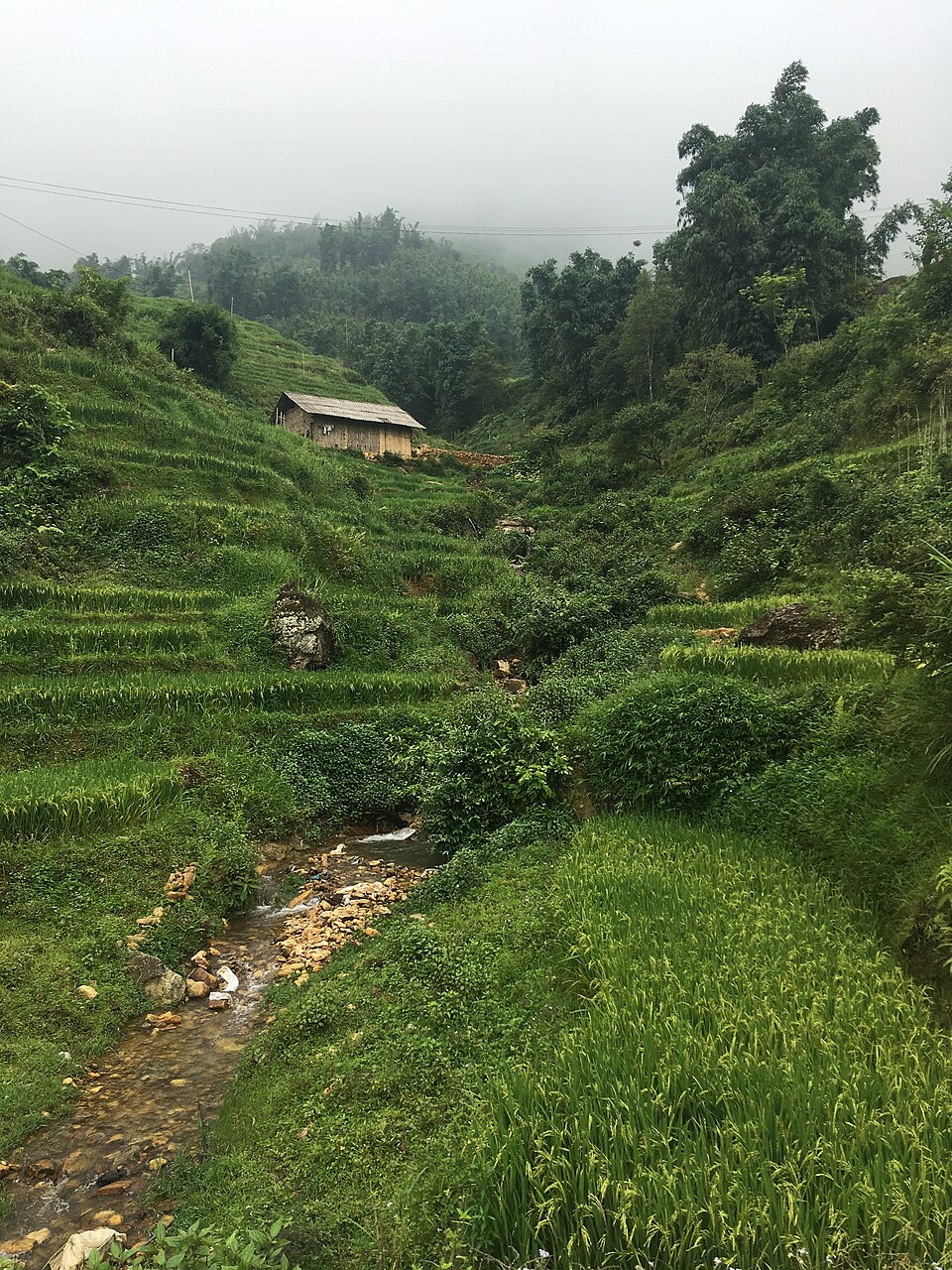 Suối và ruộng tại bản Tả Van Sapa — đường đi bộ trong bản